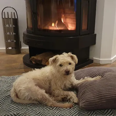 Casa de Férias House 74, Luxury Ir Sauna