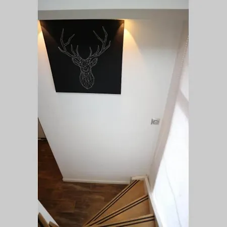 House 74, Luxury Ir Sauna