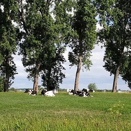 House 74, Luxury Ir Sauna Nyaraló Warmond