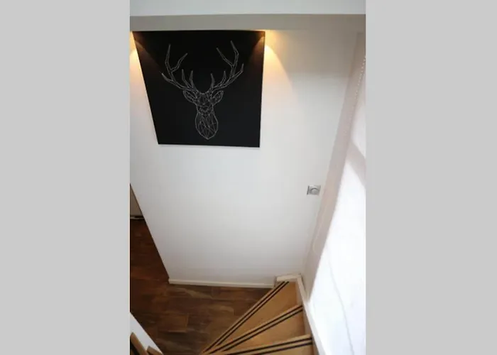 House 74, Luxury Ir Sauna