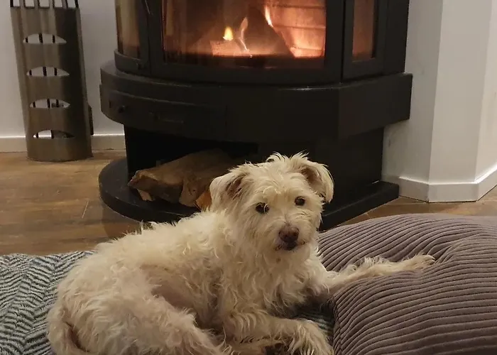 Дом отдыха House 74, Luxury Ir Sauna