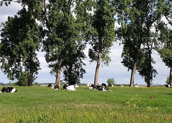 House 74, Luxury Ir Sauna Nyaraló Warmond